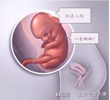 妇科专家